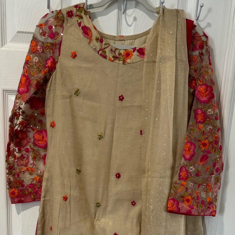 Indian pakistani dress